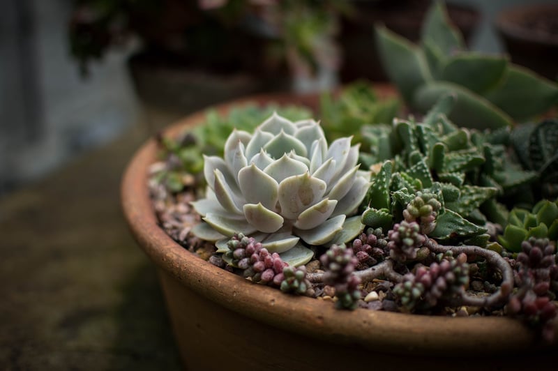 Indoor vs. Outdoor