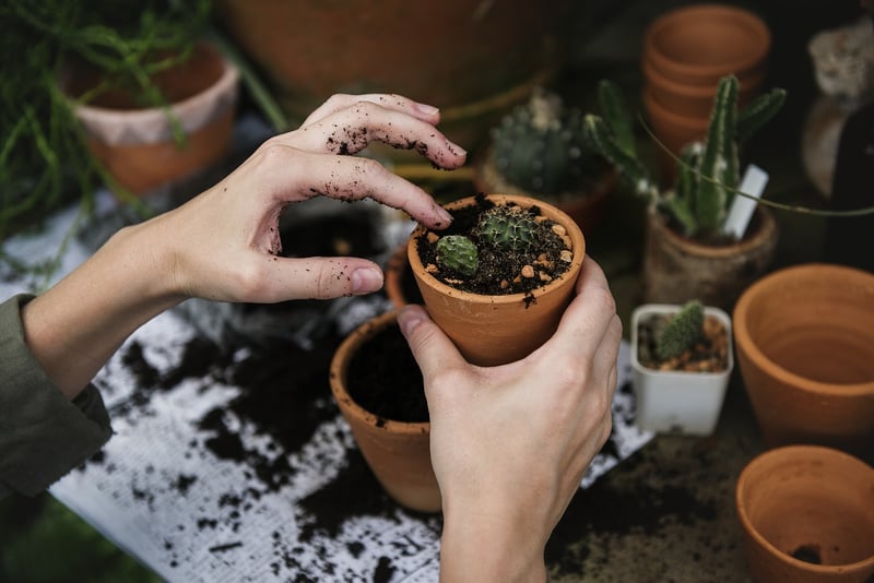 Outdoor Gardening